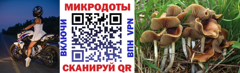 Галлюциногенные грибы GOLDEN TEACHER  Якутск 