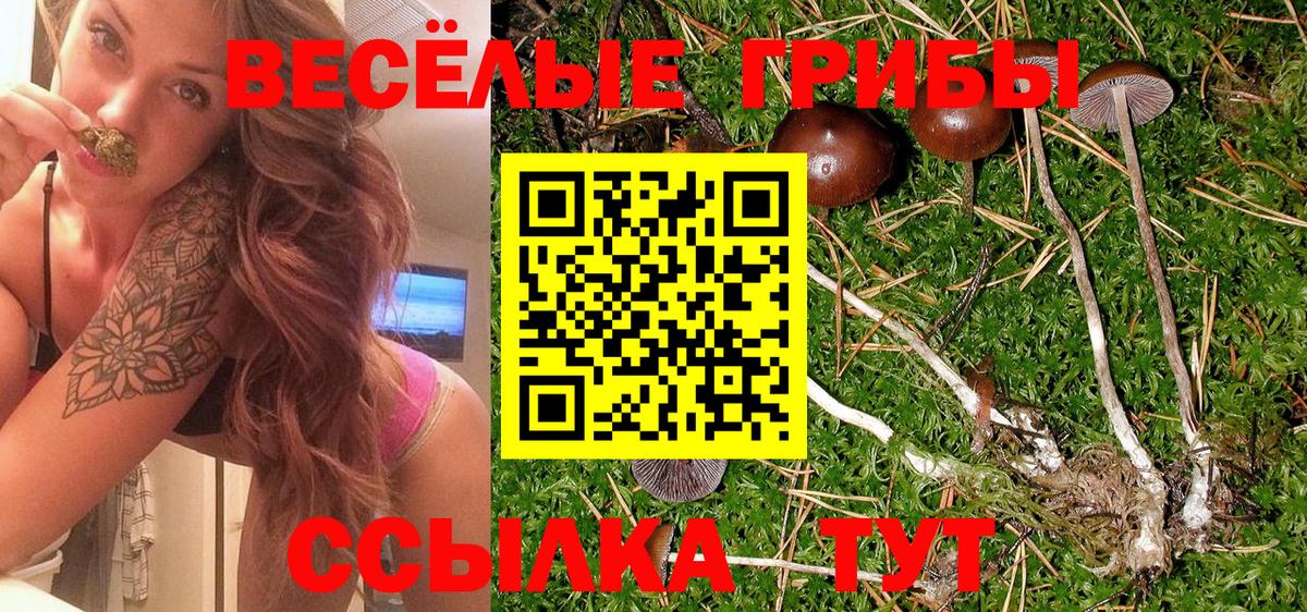 Псилоцибиновые грибы Cubensis Якутск