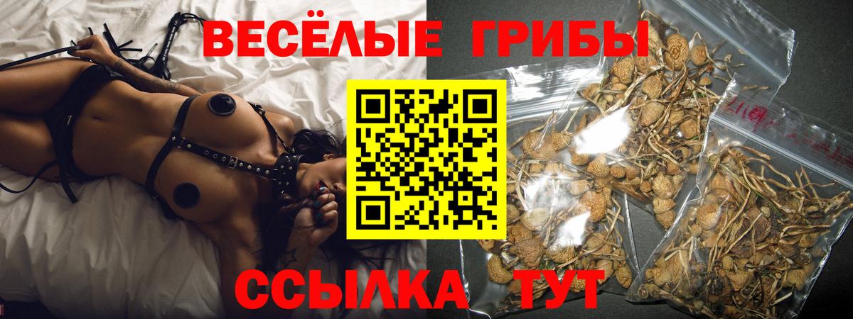 Галлюциногенные грибы Cubensis  Вход с VPN  Якутск 